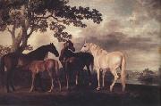George Stubbs Mares and Foais in a Landscape (nn03) oil painting on canvas